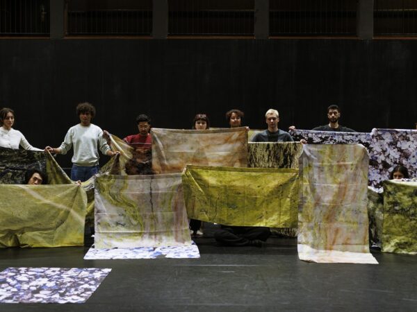 Petrified Museum- Restitution de l'atelier théâtre